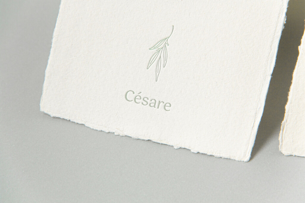 Césare D Project Oplinus 46