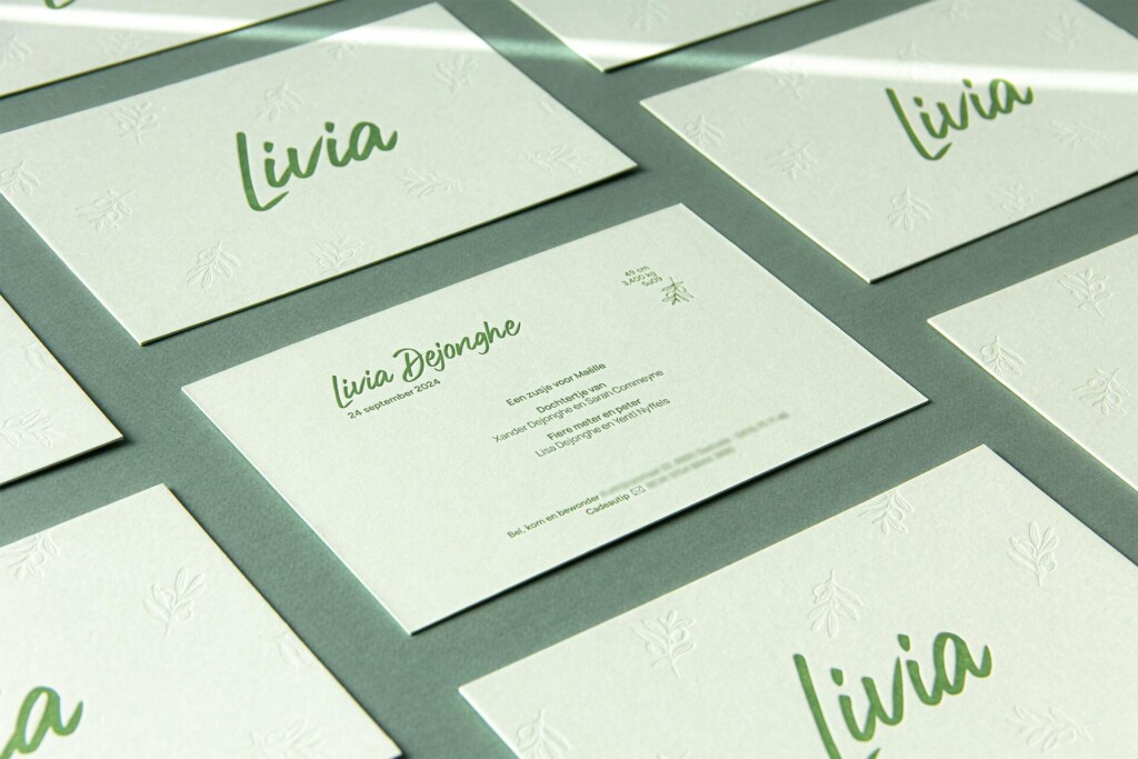 Livia D Project Oplinus 13
